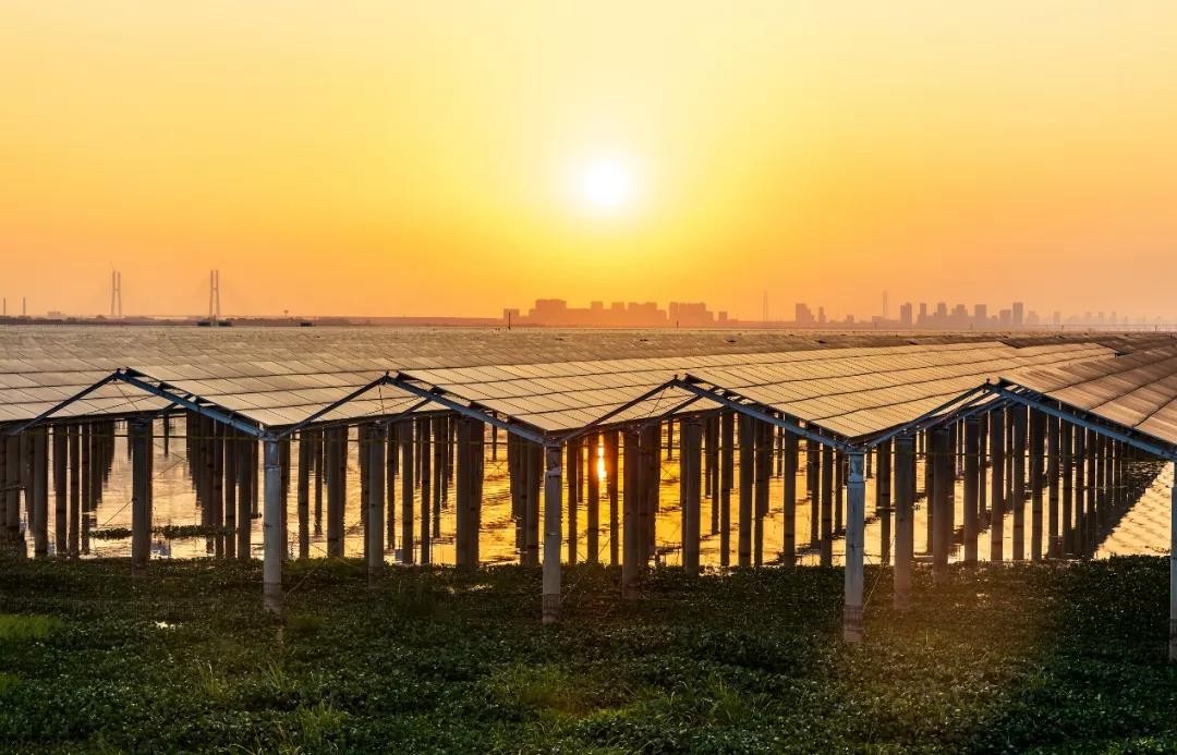 Beyond Success - www.haobo.com Achieved a Preferred Scale of 1120 MW in Jiangxi